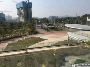 學(xué)校 深圳稀缺項目面積31800平廠房出租