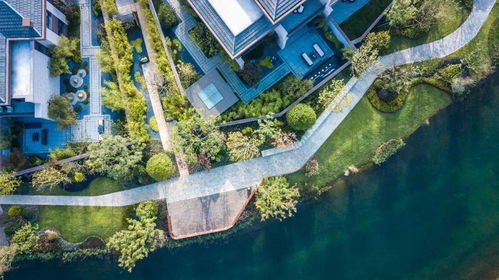 炸了 雅居樂攜手郎朗的直播首秀,2154萬人圍觀