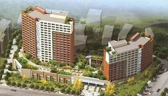 政策指航 康養不只是房地產