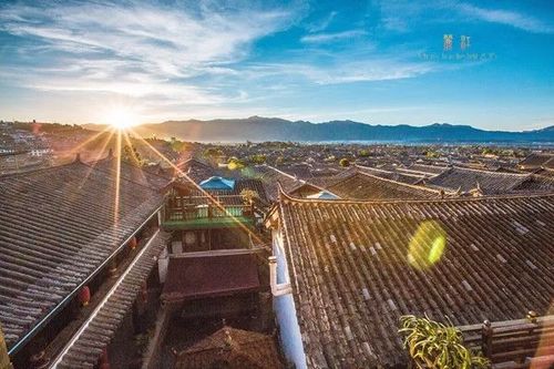 假期攻略丨不花錢 不外出就能享受的嘉年華盛宴