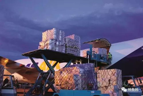 河南普通貨運五年發展紀實 構建高效物流體系，助力區域經濟騰飛